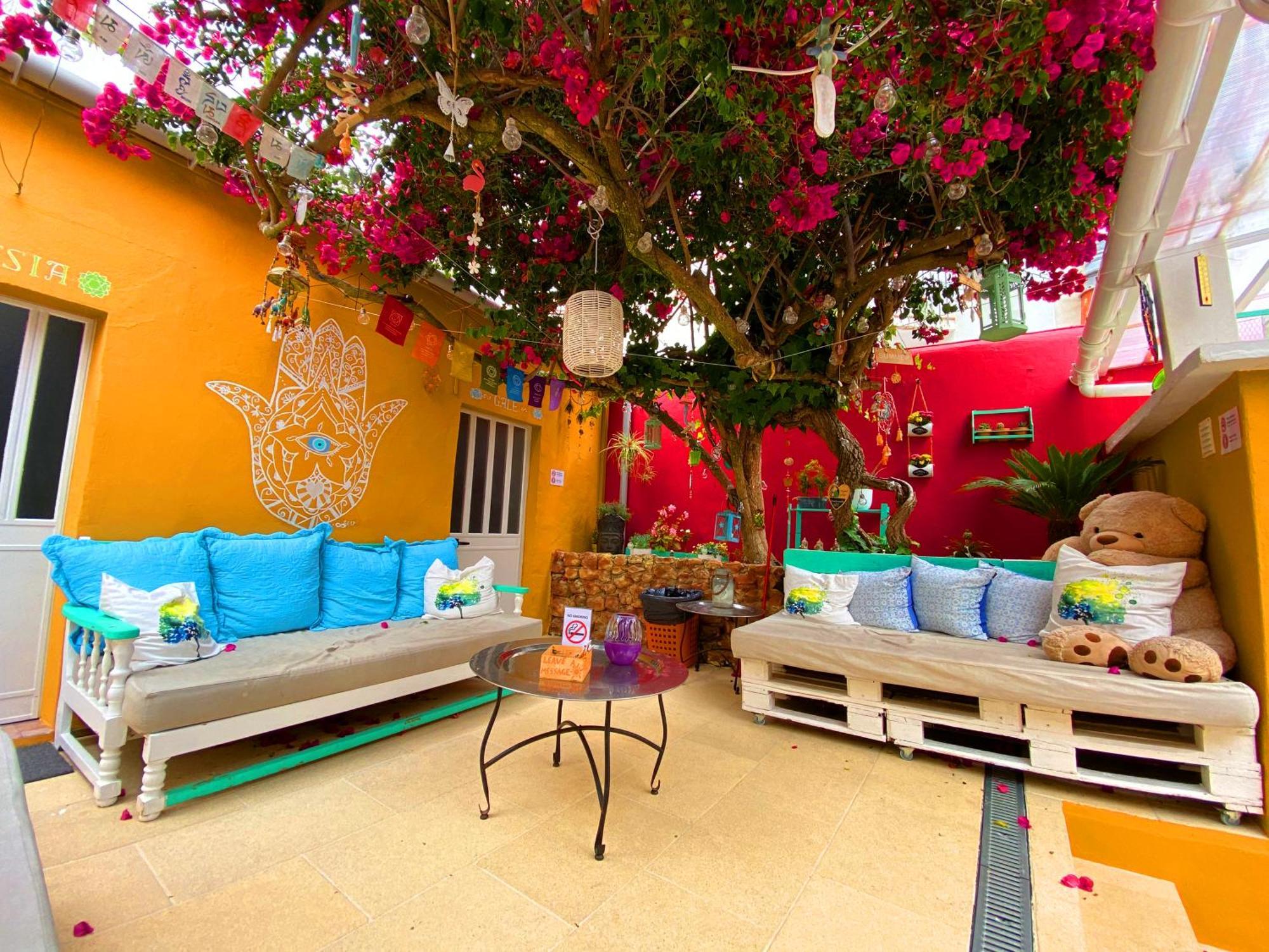 Orange Terrace Hostel البوفيرا المظهر الخارجي الصورة